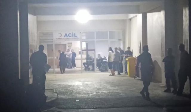 Baba ve oğulu vurup canına kıydı
