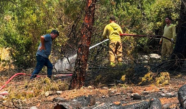 Gaziantep’te orman yangını korkuttu