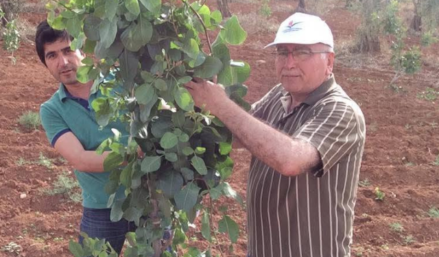Bunun adı çifte standart