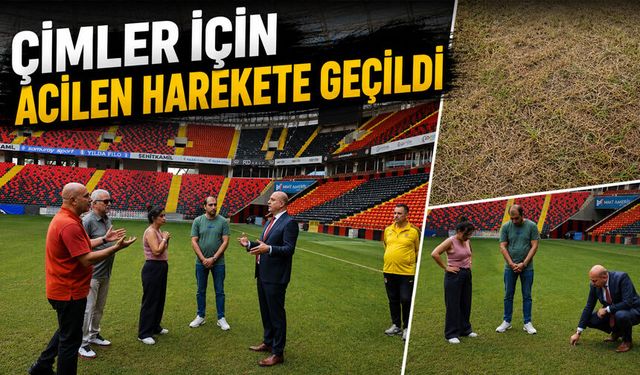 Çimler için acilen harekete geçildi