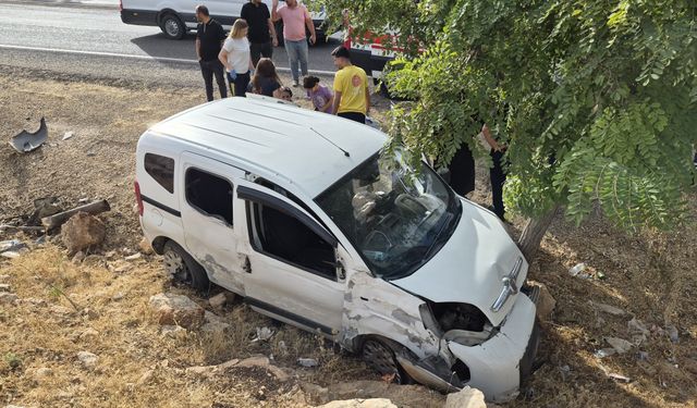 Kontrolden çıkıp ağaca çarptı