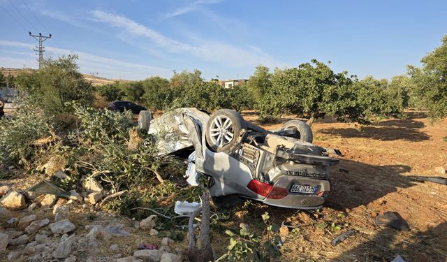Otomobil fıstık tarlasına uçtu: 1 ölü, 6 yaralı