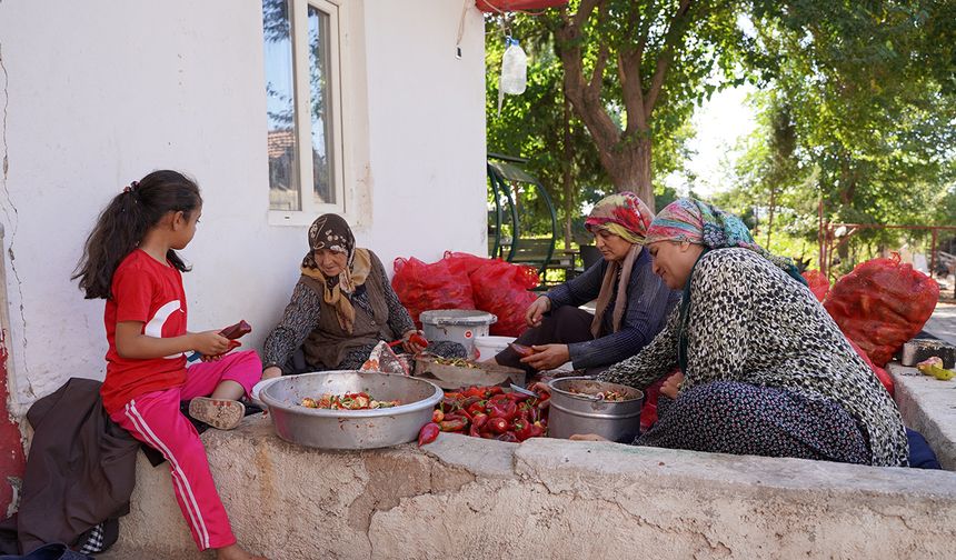 Çiftçi kadınlar ev ekonomisini kalkındırıyor