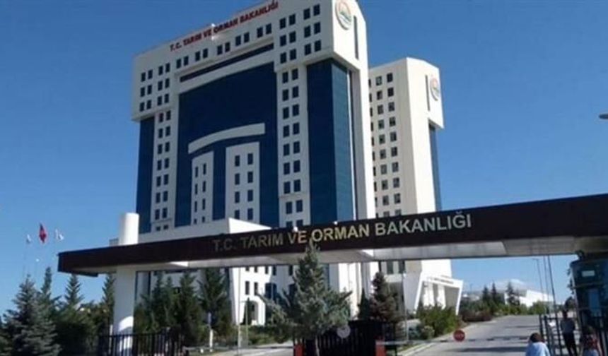 Bakanlık açıkladı: Kavurmada eşek eti çıktı