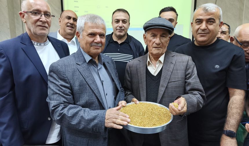İlk buğday 13 liradan alıcı buldu