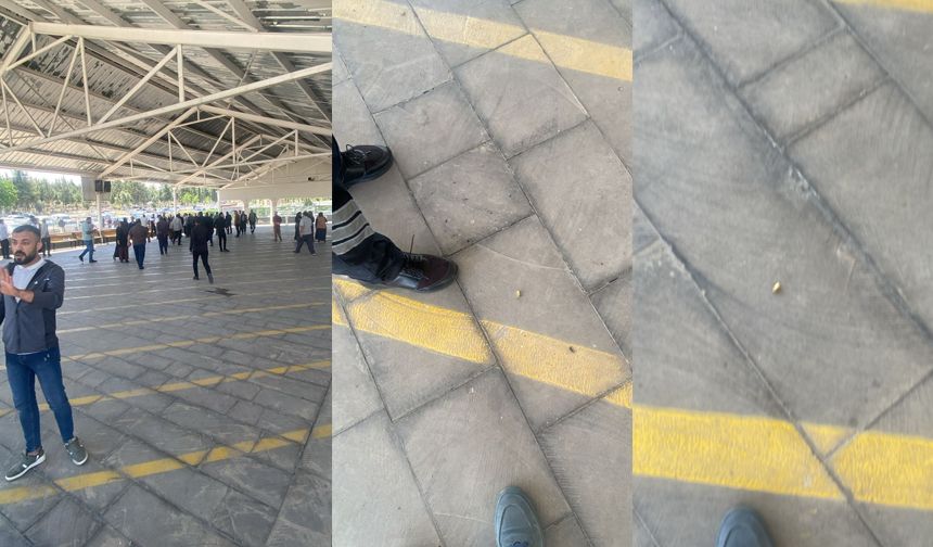 Mezarlıkta silahlar konuştu
