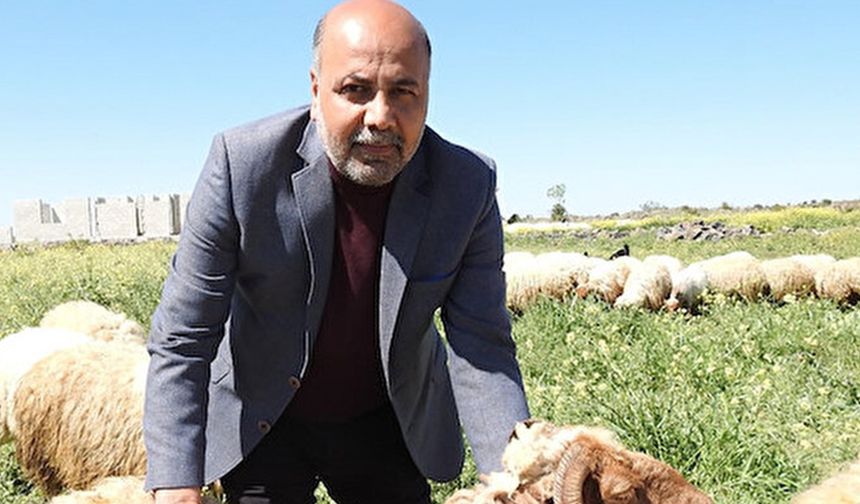 Tahmazoğlu’nun kararına sert tepki