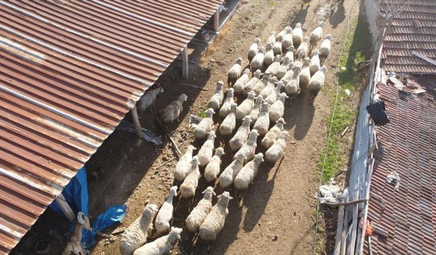 Üreticiye nefes aldıracak ödeme