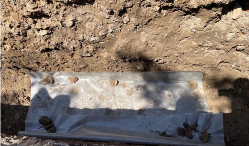 Roma Döneminden Kalma Mozaik Bulundu