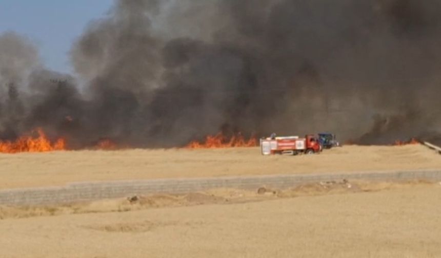 Gaziantep'te hasat öncesi felaket!