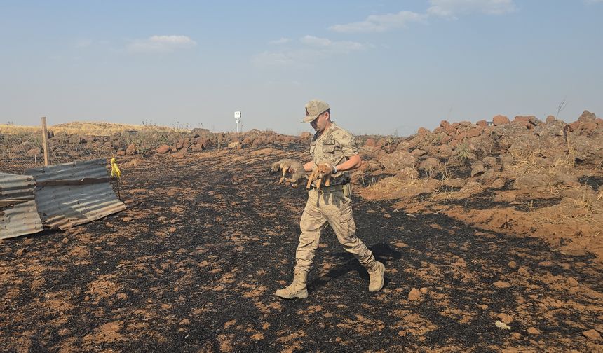 Araban’dan sonra İslahiye