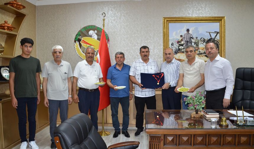 Yılın ilk fıstığına altın
