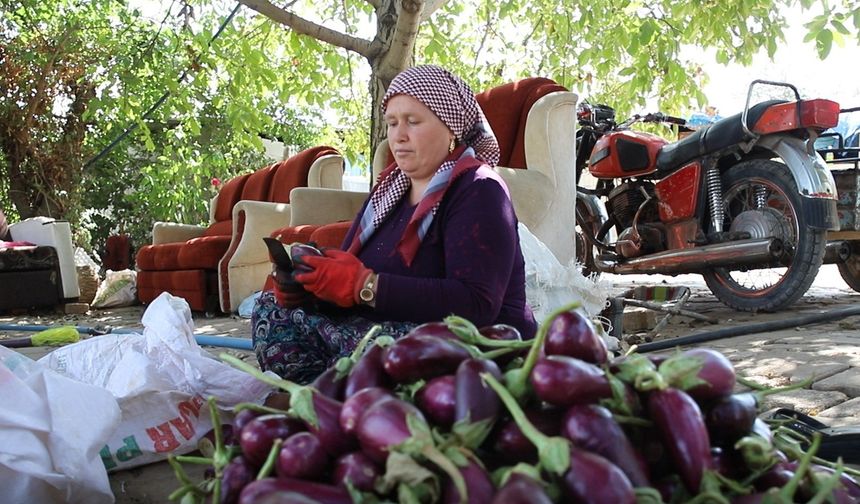 Kadınların kurutmalık mesaisi