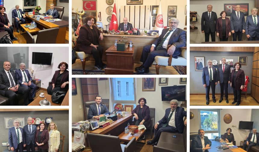 Gittik, gördük, dinledik, döndük