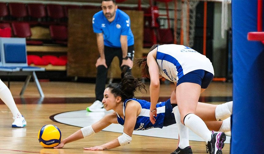 Merinos, Karayollarını konuk ediyor