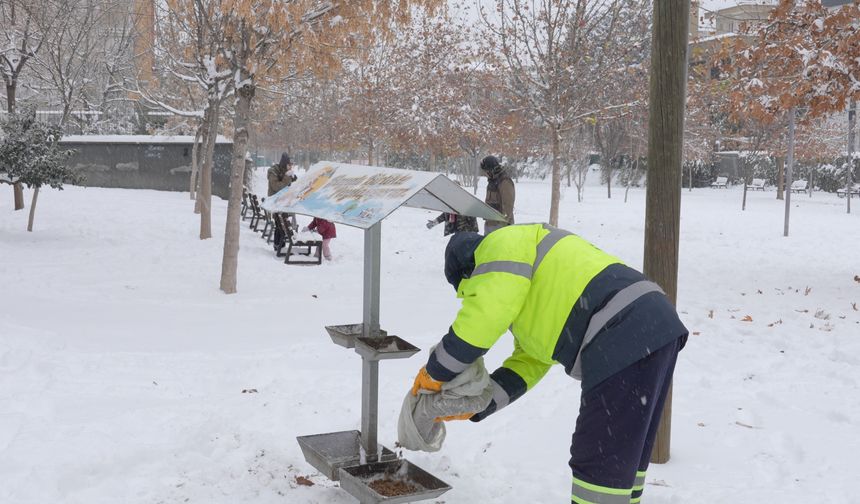 Sokak hayvanları unutulmadı