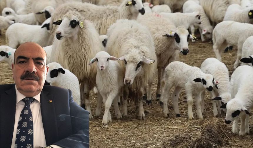 Asgari ücretli, emekli et yiyemiyor