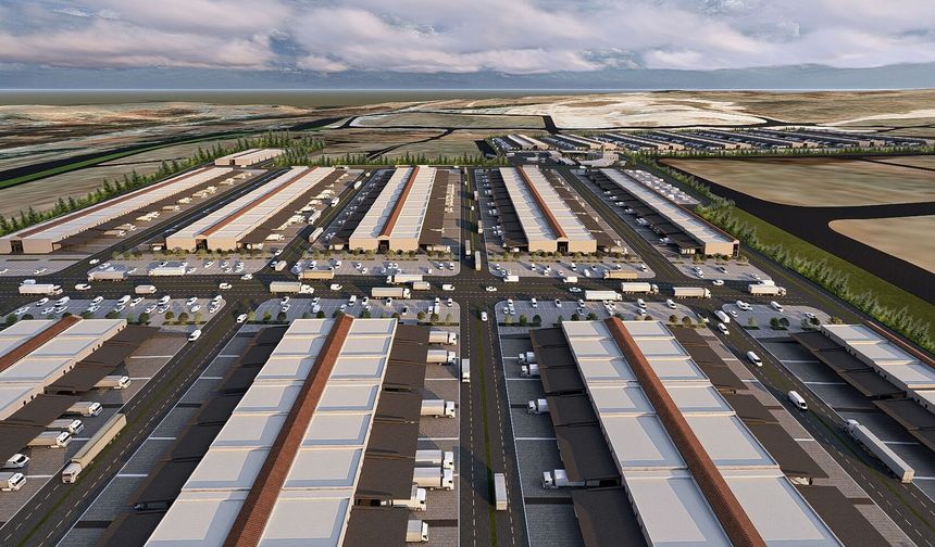 Bu sebze hali gözde olacak