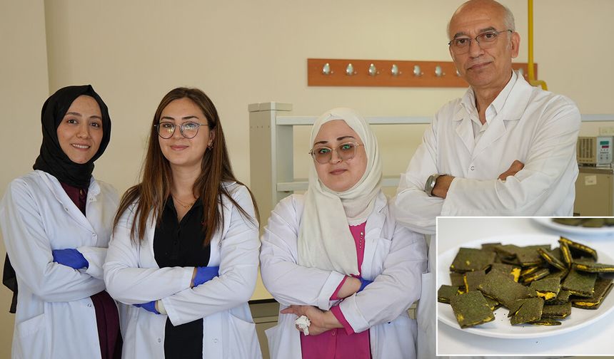 Akademisyenler özel bisküvi üretti