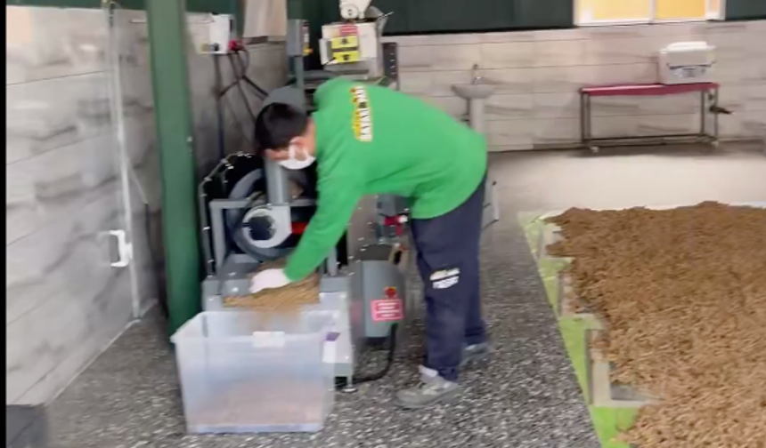 Hayvanlar için her şey çözüldü
