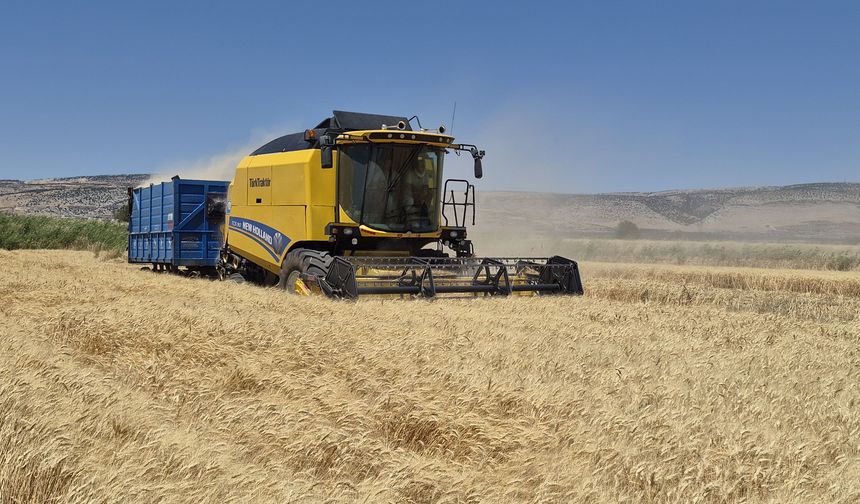 Arpa ve buğday hasadı devam ediyor