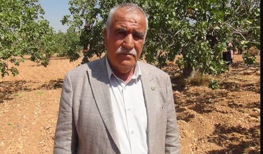 Fıstık hırsızları için alarm verildi