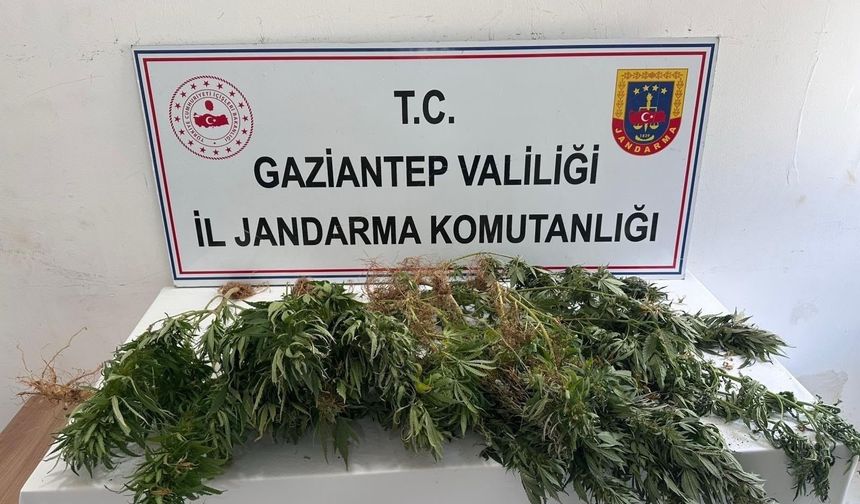 Jandarma gözden kaçırmadı