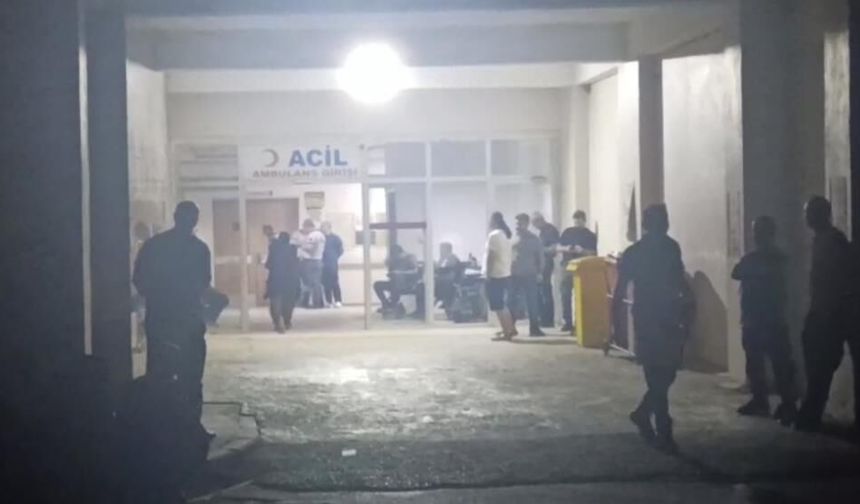 Baba ve oğulu vurup canına kıydı