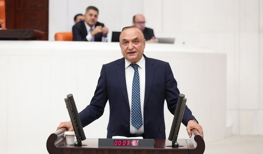 Meriç'ten Çerçeve Yasaya tepki: Oyum hayır