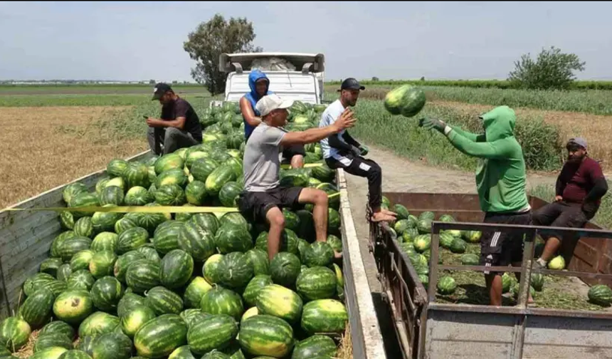 Tarımda zam şampiyonu belli oldu
