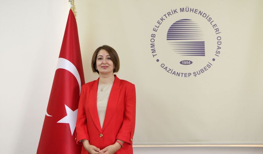 Arıkan'dan elektrik önerisi