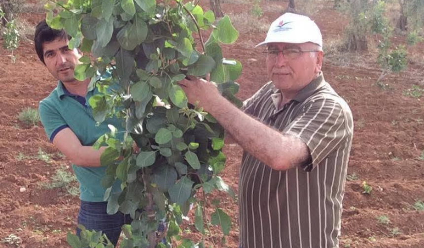 Bunun adı çifte standart