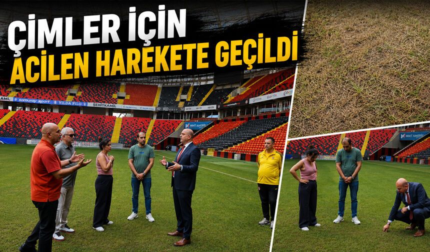 Çimler için acilen harekete geçildi