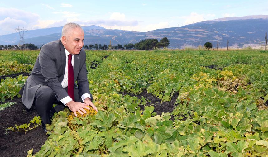 Rektörün tarım hamlesi