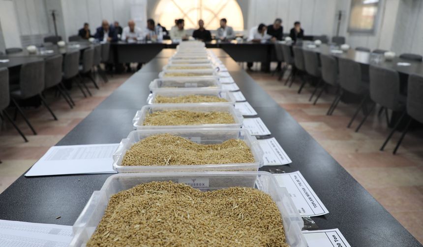 Borsa’da 15 bin tonluk ihale