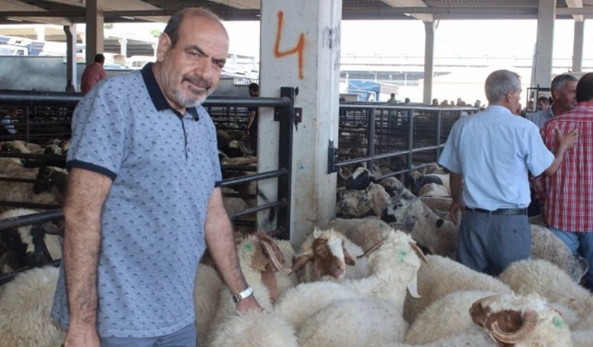 İthal et zarar verir