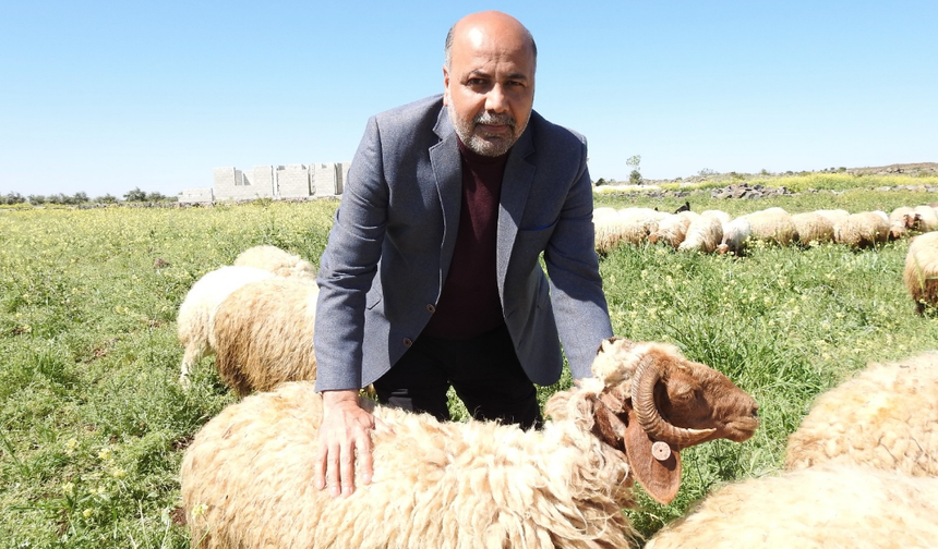 Osman Türkman'dan kurt saldırısı uyarısı
