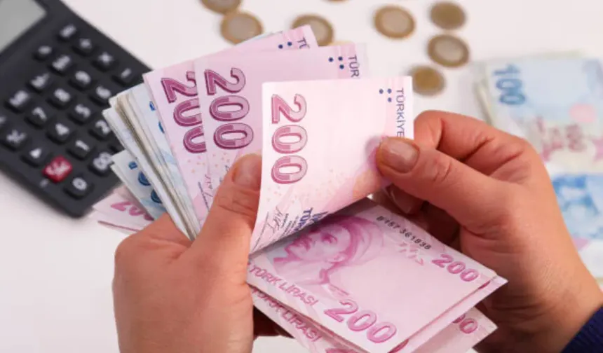 Vatandaşlık maaşında kriterler belli oluyor