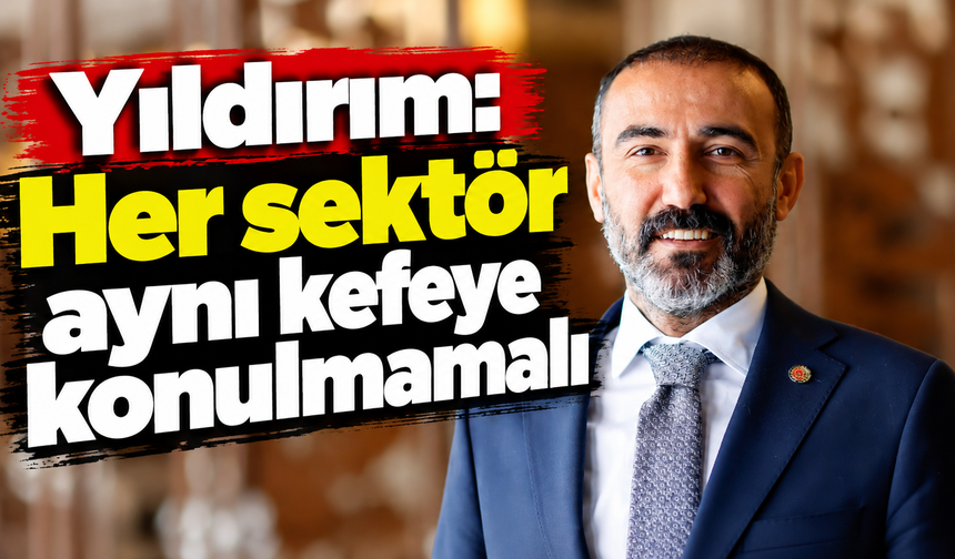 Yıldırım: Her sektör aynı kefeye konulmamalı