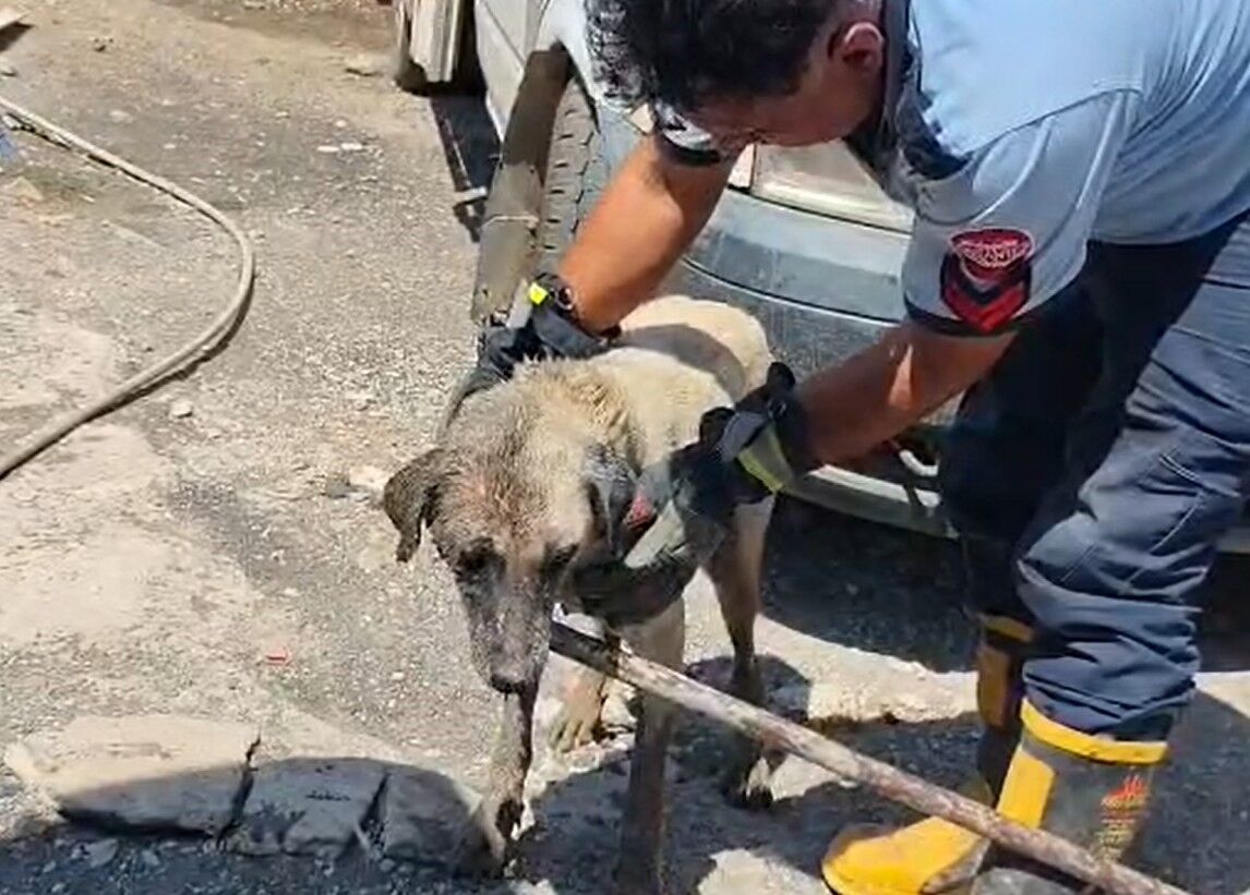 İmdada itfaiye yetişti