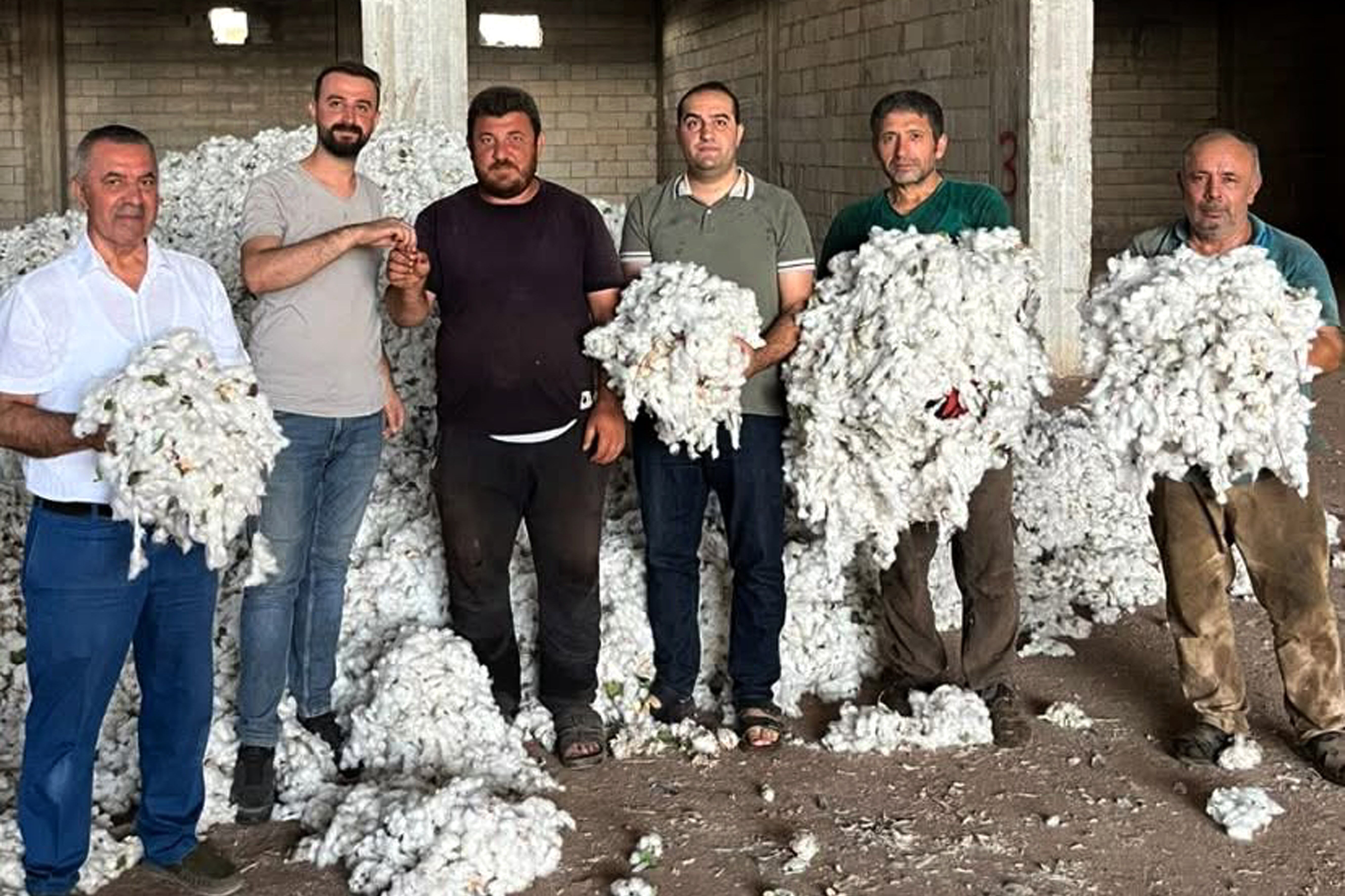 Araban’da ilk pamuğu toplayana altın