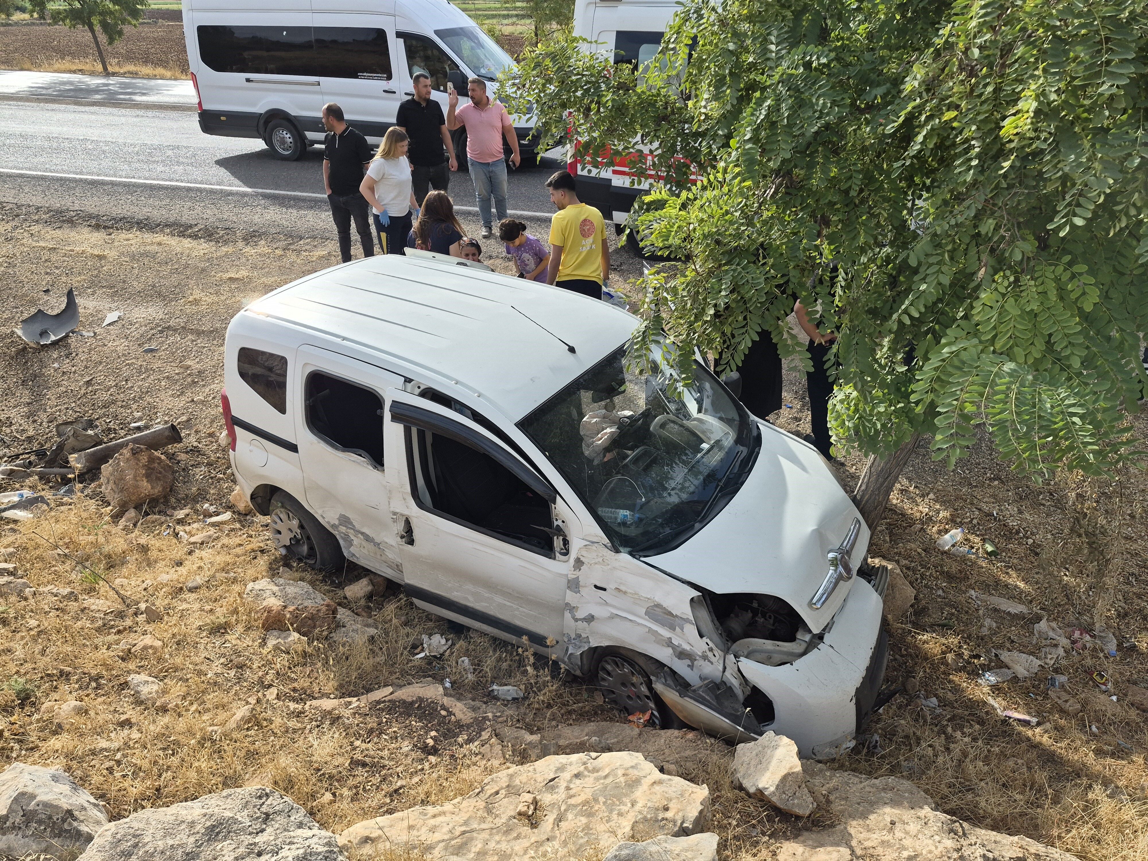 Kontrolden çıkıp ağaca çarptı