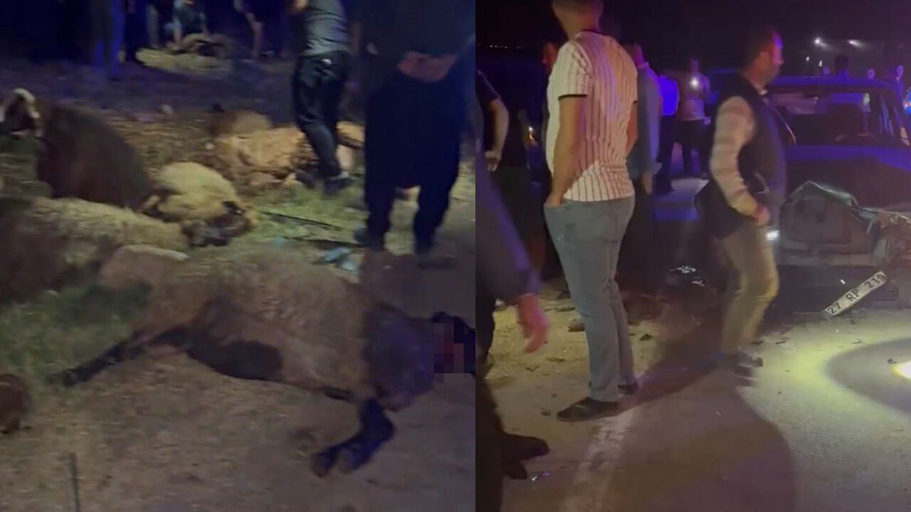 Yok artık dedirten kaza