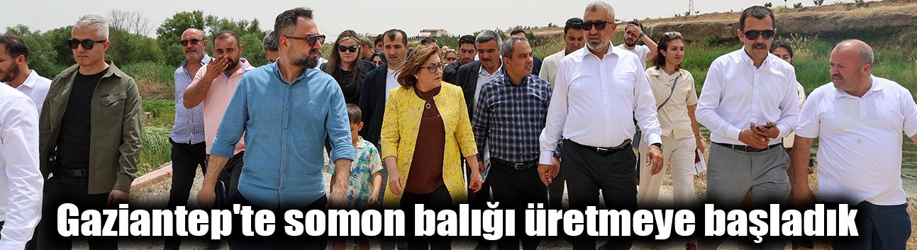 Gaziantep'te somon balığı üretmeye başladık