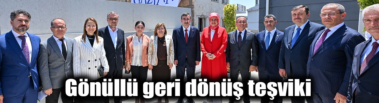 Gönüllü geri dönüş teşviki