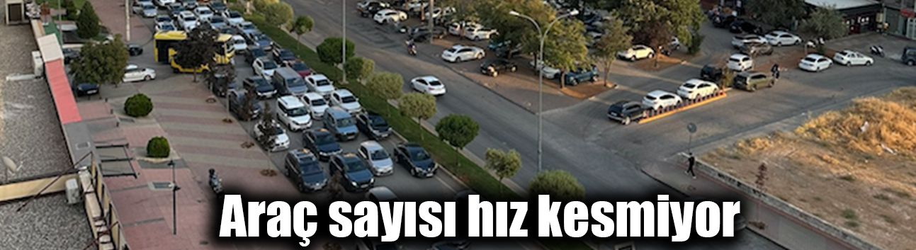 Araç sayısı hız kesmiyor