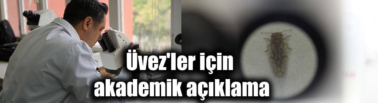 Üvez'ler için akademik açıklama